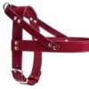 Leather no pull dog harness
