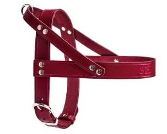 Leather no pull dog harness
