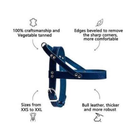 Leather no pull dog harness
