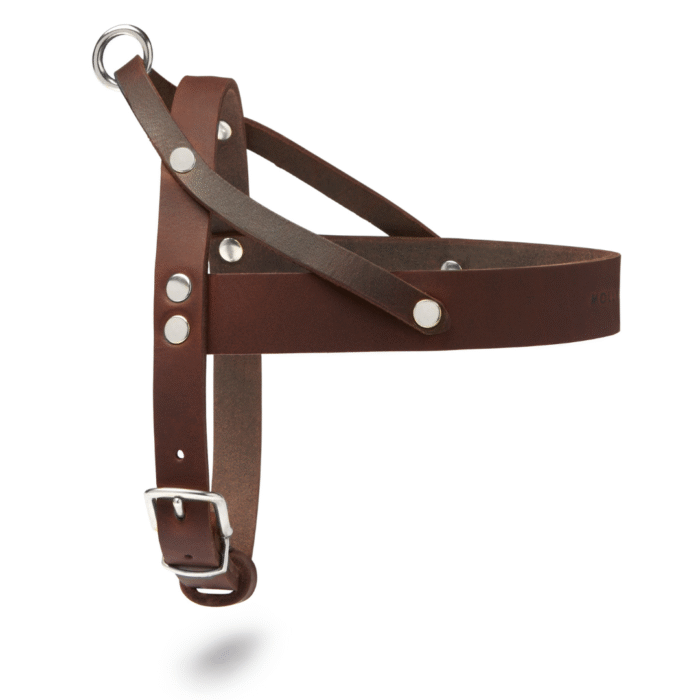 Leather no pull dog harness
