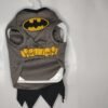 Batman Pet Costumes