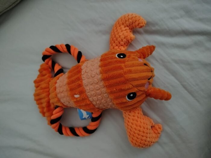 Squeaky Crab with pull rope
