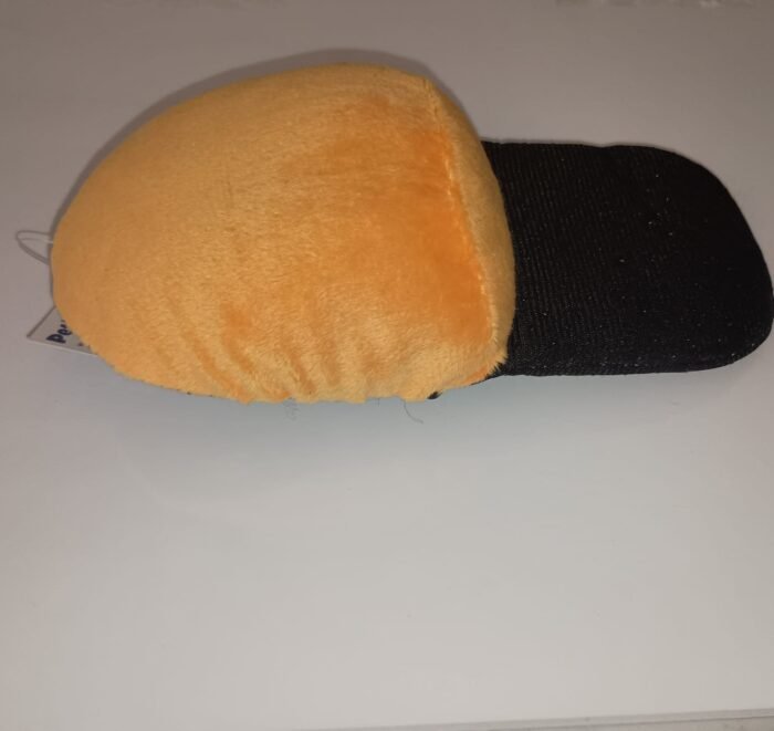 Squeaky Sandal