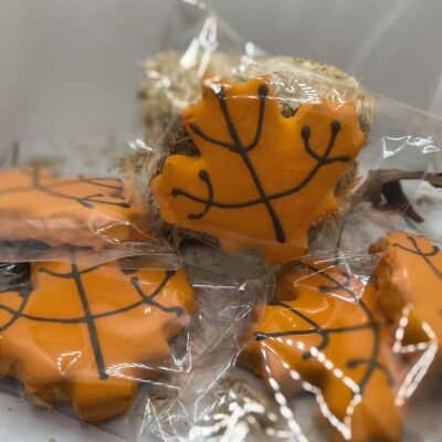 galleta 19