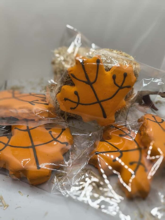 galleta 19